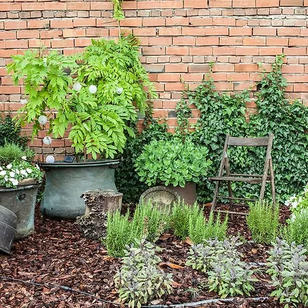 Le Vigne Di Corvino 3*